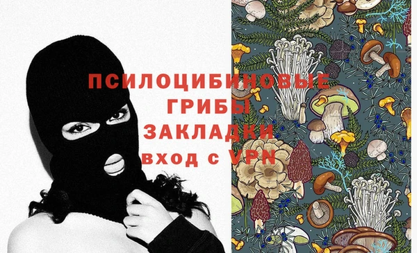 мяу мяу мука Алексин