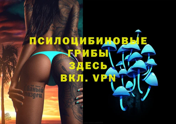 шишки Саяногорск