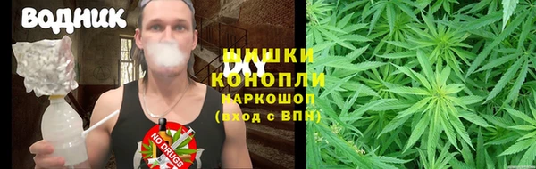 шишки Саяногорск