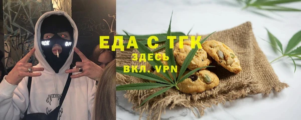 шишки Саяногорск