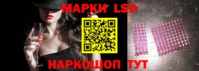 мдпв Новозыбков