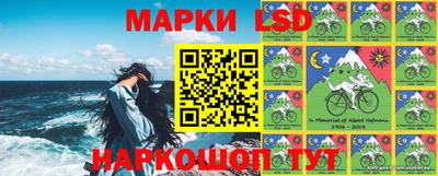мдпв Новозыбков