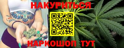 мдпв Новозыбков