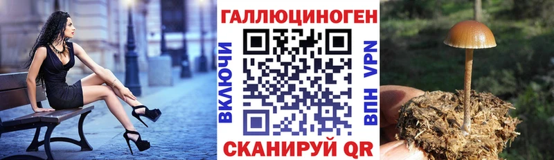 Псилоцибиновые грибы MAGIC MUSHROOMS  купить   Сунжа 