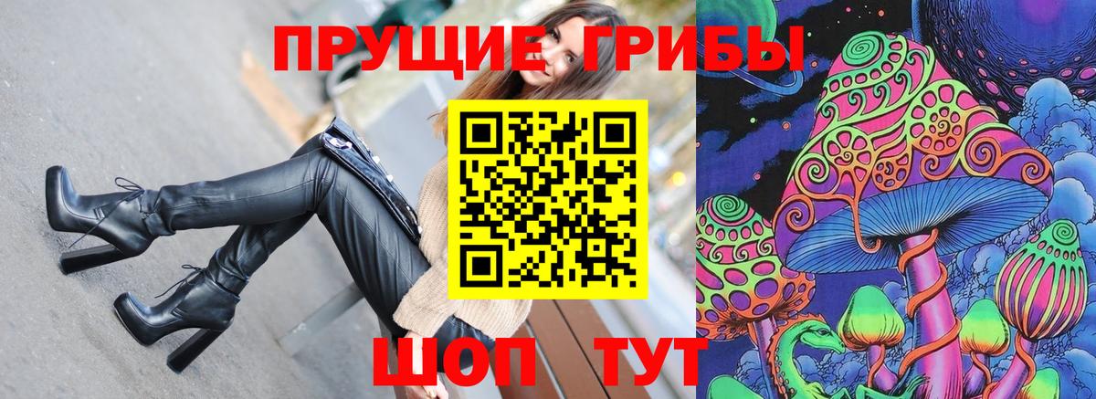Сунжа  Галлюциногенные грибы ЛСД  Вход с VPN 