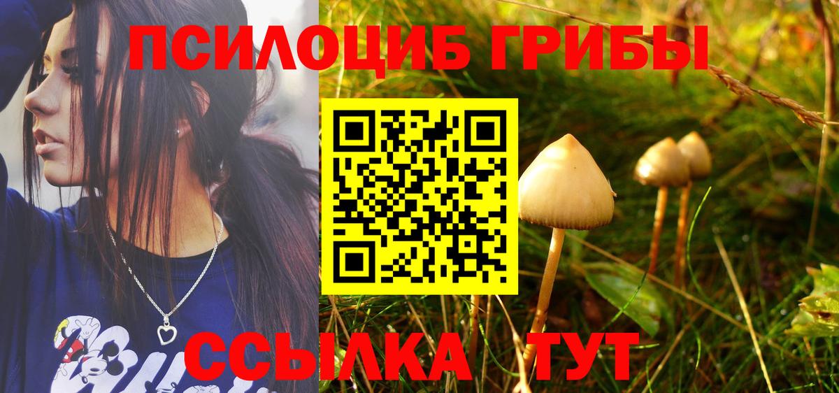 Псилоцибиновые грибы Psilocybine cubensis Сунжа